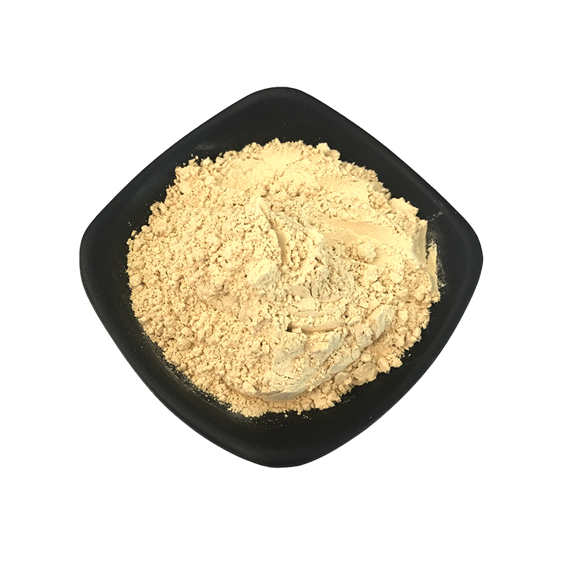 Polvo de ajo deshidratado